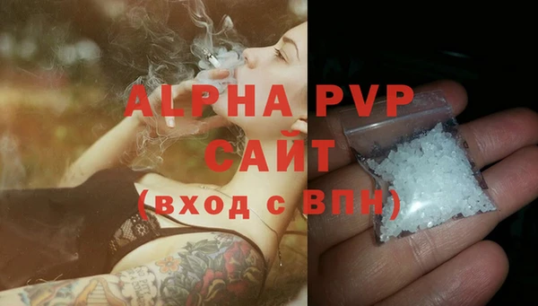 крисы Абаза