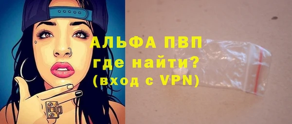 индика Саяногорск