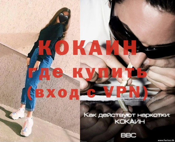 крисы Абаза