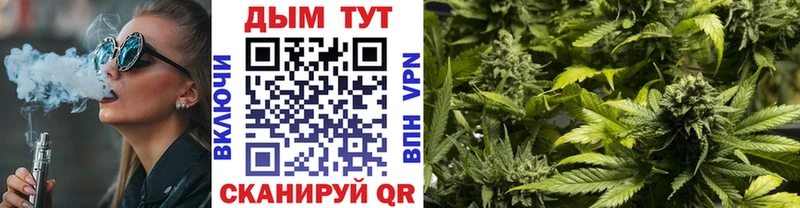 где купить   Туран  Шишки марихуана семена 